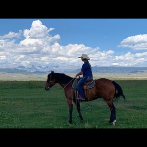 Meet your Posher, Jordan